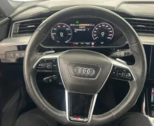 Zunanja slika - Audi e-tron - 55 quattro S line.NEMŠKI+4ALU.KAMERA.USNJE.KLJUKA - 9 - Predogledna slika