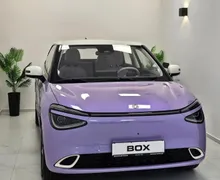 Zunanja slika - Dongfeng Box - Long Range-PURPLE- NA ZALOGI - 13 - Predogledna slika