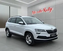 Zunanja slika - Škoda Karoq - 4x4 2,0 TDI DSG - 1 - Predogledna slika