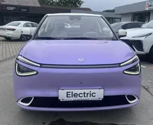 Zunanja slika - Dongfeng Box - 100  ELEKTRIČNO VOZILO - 2 - Predogledna slika