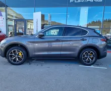 Zunanja slika - Alfa Romeo Stelvio - 2.0 Turbo Q4 200 Avtomatik - OKVARA MOTORJA - 4 - Predogledna slika