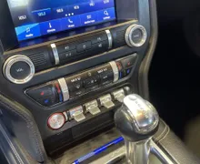 Zunanja slika - Ford Mustang - 5.0-V8-GT-HLAJENJE SED-MEMORY-USNJE-RADAR-LED-20C - 14 - Predogledna slika