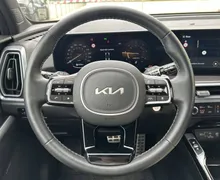 Notranja slika - KIA Sorento - 2.2 TCI AWD EX Launch 8DCT - 12 - Predogledna slika