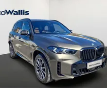Zunanja slika - BMW X5 - xDrive30d - 11 - Predogledna slika