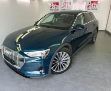 Zunanja slika - Audi e-tron - quattro 50 electric 230kW.KAMERA.NAVI.GRET.SED.LED - 1 - Predogledna slika