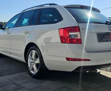 Zunanja slika - Škoda Octavia - Combi 1.6 TDI -PANORAMA-KAMERA-PDC-ODLIČNA-KREDIT - 10 - Predogledna slika