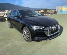Zunanja slika - Audi e-tron - Audi  50 quattro.NEMŠKI.PANORAMA.KAMERA.LED. - 2 - Predogledna slika