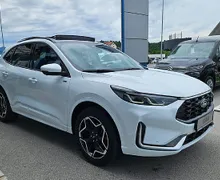 Zunanja slika - Ford Kuga - 2.5 FHEV ST-Line X Aut. - 9 - Predogledna slika