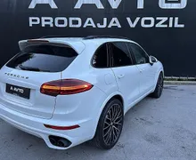 Zunanja slika - Porsche Cayenne - 3.0 TD Platinum Edition-22COL-BOSE-ZRAČNO-VK-PANO - 6 - Predogledna slika