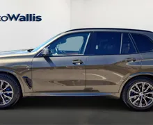 Zunanja slika - BMW X5 - xDrive30d - 3 - Predogledna slika