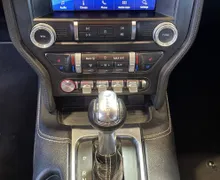 Zunanja slika - Ford Mustang - 5.0-V8-GT-HLAJENJE SED-MEMORY-USNJE-RADAR-LED-20C - 15 - Predogledna slika