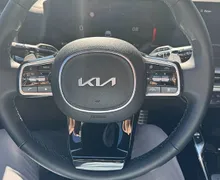 Zunanja slika - KIA Sorento - 2.2 CRDi EX Limited Panor.8DCT AWD 148kW... - 8 - Predogledna slika