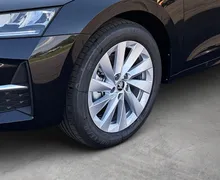 Zunanja slika - Škoda Octavia - Combi 2.0 TDI Family DSG... - 5 - Predogledna slika