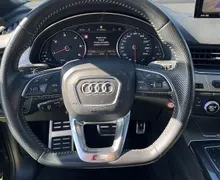 Zunanja slika - Audi Q7 - 3.0 50 TDI. QUATRO. AUT. S LINE. ACC. XENON. KAM. - 12 - Predogledna slika