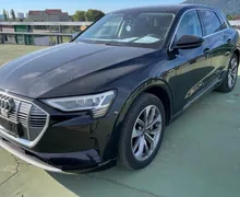 Zunanja slika - Audi e-tron - 50 quattro.NEMŠKI.PANORAMA.KAMERA.LED.GRE.SE.USNJE - 1 - Predogledna slika