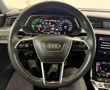 Zunanja slika - Audi e-tron - 50 quattro S line.NEMŠKI+4ALU.KAMERA.NAV.USNJE.LED - 12 - Predogledna slika