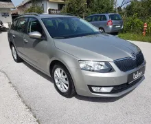 Zunanja slika - Škoda Octavia - Combi 4x4 1.6 TDI Ambition - 3 - Predogledna slika