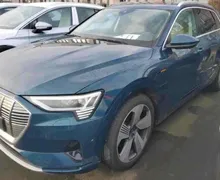 Zunanja slika - Audi e-tron - 55 quattro Advanced.NEMŠKI.PANORAMA.KLJUKA.USNJE - 1 - Predogledna slika