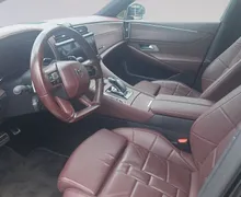 Zunanja slika - DS DS 9 - E-Tense 250 Rivoli+ - 7 - Predogledna slika