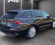 Zunanja slika - Škoda Octavia - Combi 2.0 TDI Family DSG... - 3 - Predogledna slika