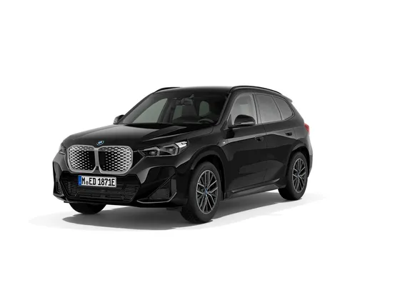Zunanja slika - BMW iX - 1 xDrive30 - 1