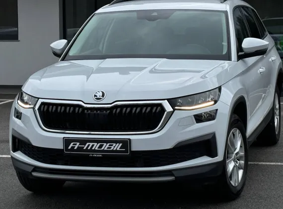 Zunanja slika - Škoda Kodiaq - Ambition 2.0 TDI DSG FUL LED-KAMERA-NAVI-ACC - 1