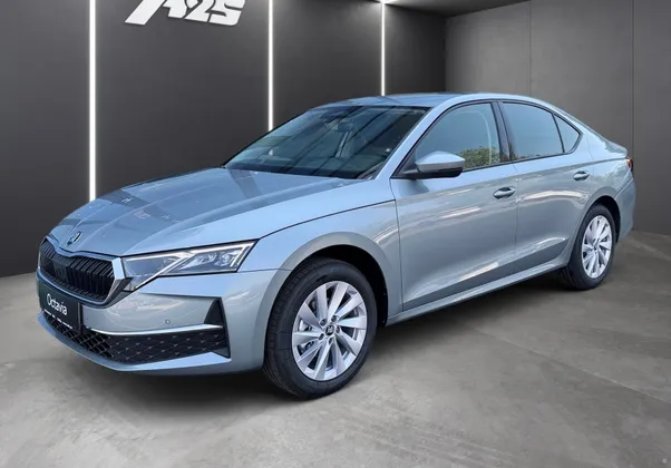 Zunanja slika - Škoda Octavia - 2.0 TDI Family DSG - 1