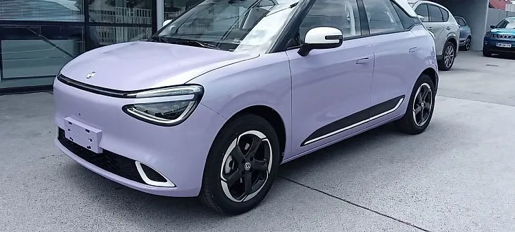 Zunanja slika - Dongfeng Box - PURPLE DESIRE - 1