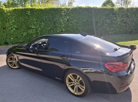 Zunanja slika - BMW Serija 4 - 420i Gran Coupé - 1