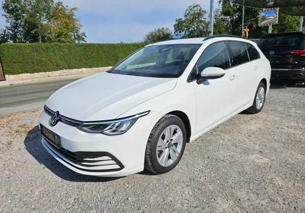 Zunanja slika - Volkswagen Golf Variant - 2.0 TDI BMT 1.LASTNIK SLO VIRTUAL  AMBIENT - 1