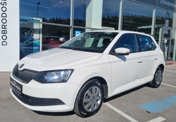 Zunanja slika - Škoda Fabia - 1.0 BENCIN - SLOVENSKO POREKLO + 1. LASTNIK - 1