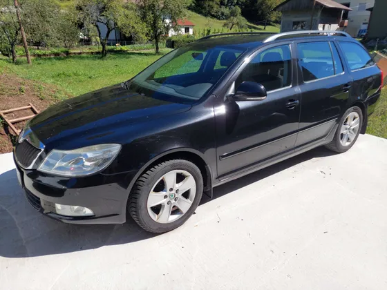 Zunanja slika - Škoda Octavia - Greenline - 1