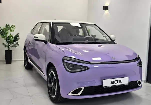 Zunanja slika - Dongfeng Box - Long Range-PURPLE- NA ZALOGI - 1
