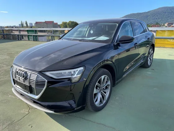 Zunanja slika - Audi e-tron - Audi  50 quattro.NEMŠKI.PANORAMA.KAMERA.LED. - 1