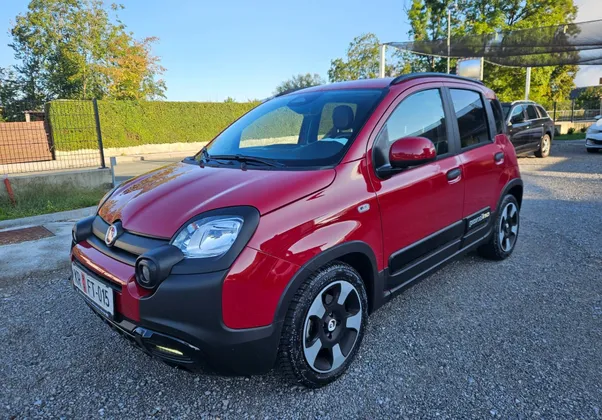 Zunanja slika - Fiat Panda - Pandina 1.0 GSE  Cross  VIRTUAL - 1