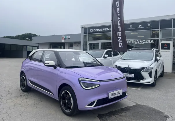 Zunanja slika - Dongfeng Box - 100  ELEKTRIČNO VOZILO - 1
