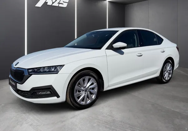 Zunanja slika - Škoda Octavia - 2.0 TDI Ambition DSG-LED-PDC-Vzvr. kamera-AppConn. - 1