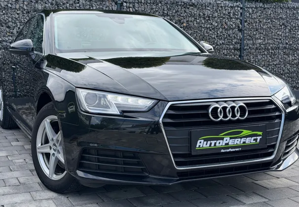 Zunanja slika - Audi A4 - 2.0 TDI |PDC|KLJUKA|NAVI|REDNO SERV.| - 1