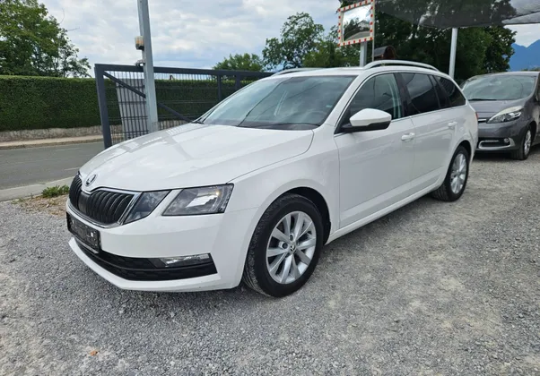 Zunanja slika - Škoda Octavia - Combi 1.0 TSI  1.LASTNIK  SLO  LED KLJUKA - 1