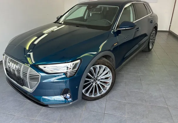Zunanja slika - Audi e-tron - quattro 50 electric 230kW.KAMERA.NAVI.GRET.SED.LED - 1