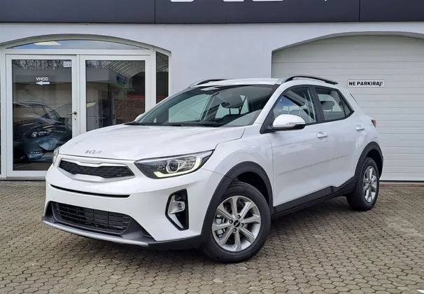 Zunanja slika - KIA Stonic - 1.2 DPI 57.9 kW  79 KM  LX Urban+ M T - 1
