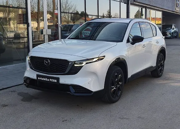 Zunanja slika - Mazda CX-5 - HOMURA BLOP 2WD AT - 1