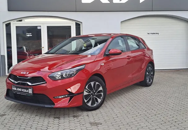 Zunanja slika - KIA Ceed - 1.0 T-GDI LX Champion+ ISG - 1
