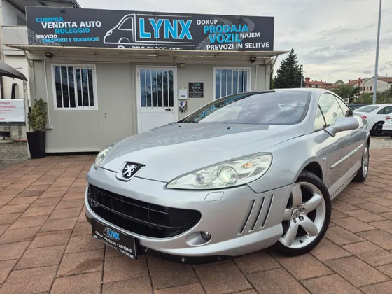 Zunanja slika - Peugeot 407 - 407 - 1