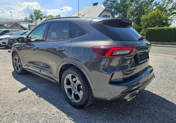 Zunanja slika - Ford Kuga - 1.5 EcoBoost ST-Line 1.LASTNIK SLO SAMO 10000KM... - 1