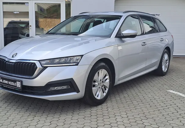 Zunanja slika - Škoda Octavia - Combi 2.0 TDI 4x4 Ambition DSG - 1