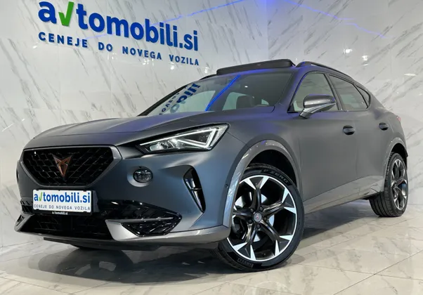 Zunanja slika - Cupra Formentor - 2.0 TSI DSG 4Drive|Led|Pano|Kamera|PDC|Gretje|SLO - 1