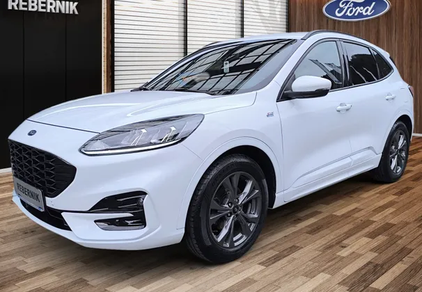 Zunanja slika - Ford Kuga - ST-LINE 1.5 EcoBlue 120PS-SLO-2.LAST-VELIK SERVIS - 1