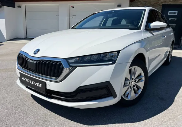 Zunanja slika - Škoda Octavia - Combi 2.0 TDI-1 LASTNIK-KAM-ALU-NAVI-ODLIČNA - 1