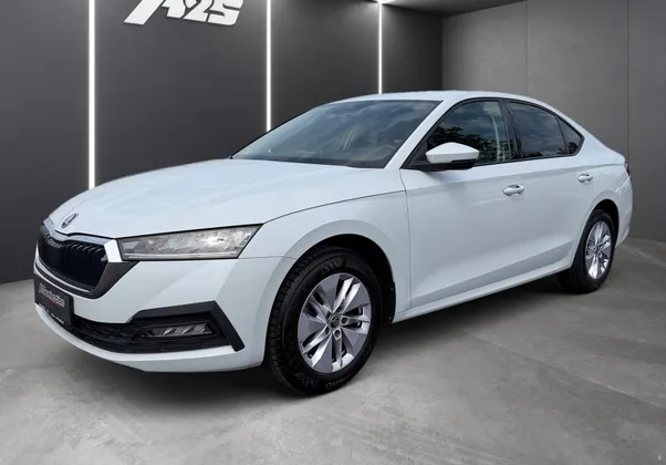 Zunanja slika - Škoda Octavia - 2.0 TDI Ambition-LED-Masaža v. sedežPDC-AppConnect - 1